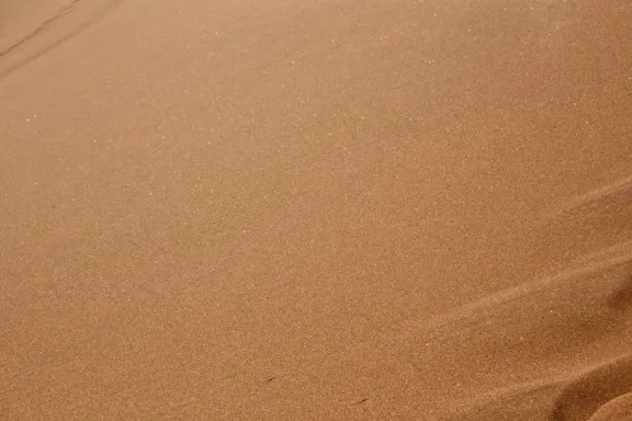 Casino Bingo Millionaire Assistance